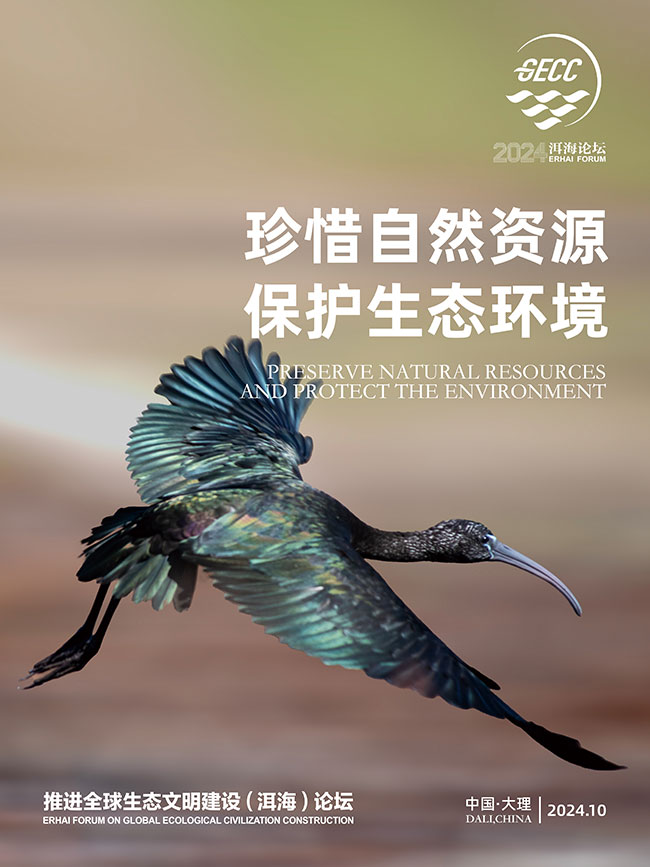 2024洱海论坛｜12张海报出炉！跟随美丽生灵走进美好生态【11】