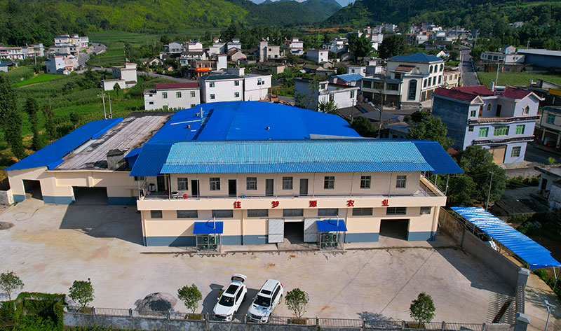 百香果加工基地。