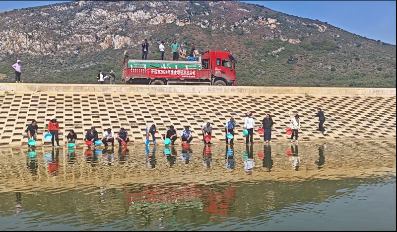 增殖放流活动-曹梦婷摄-2024年10月24日-(2)
