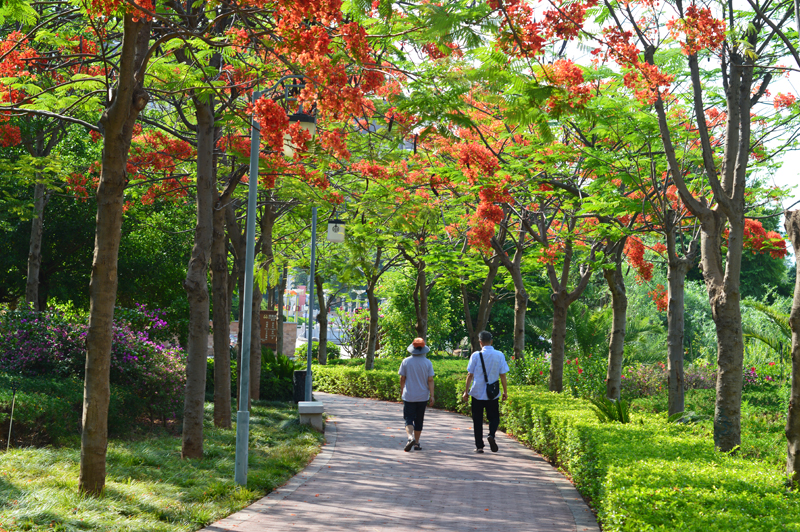 環境優美的公園。元謀縣委宣傳部供圖