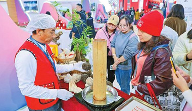 云南茶咖飘香长三角文博会