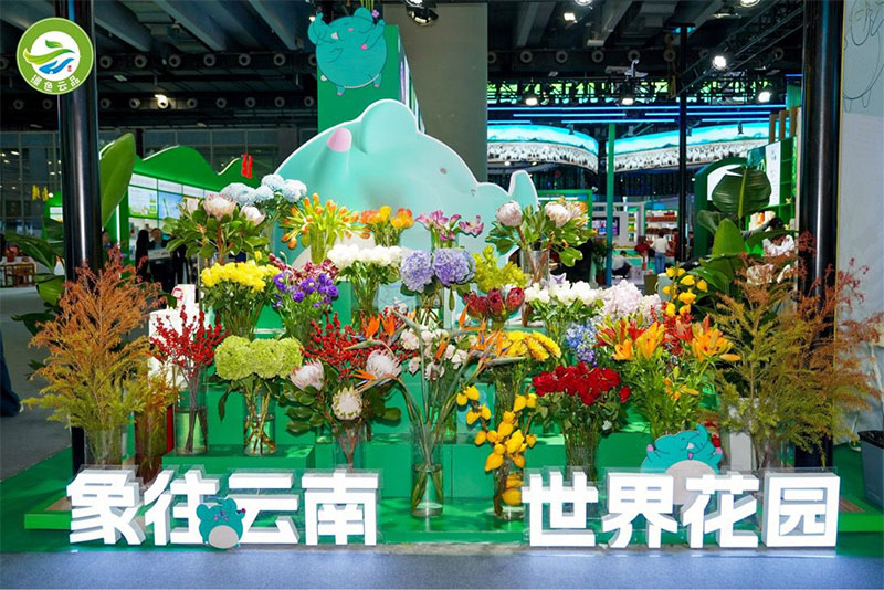 “绿色云品·品味云南”主题展区。
