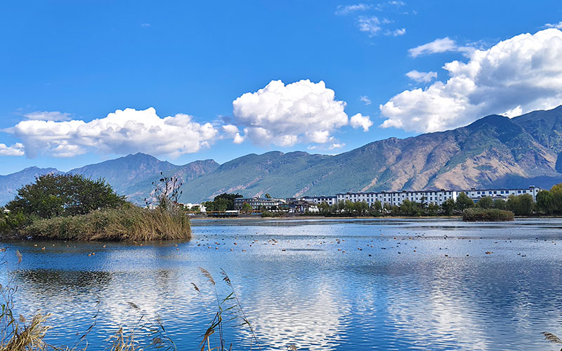 鹤庆县草海湿地冬日美景。吴金勇摄