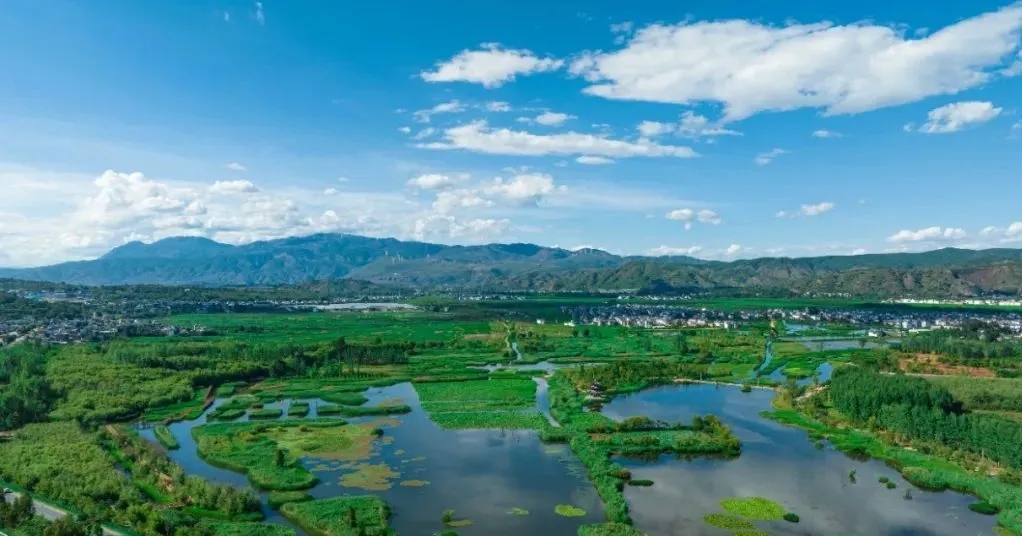 罗时江湿地 赵一舟 摄