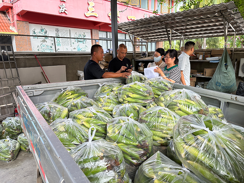 打包好的花糯玉米装车。西双版纳州烟草专卖局供图