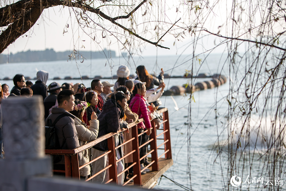 海洪湿地公园游人如织。人民网记者 程浩摄