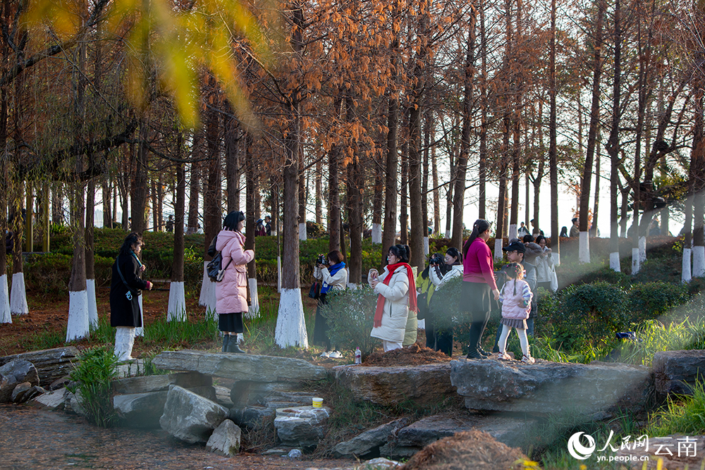 海洪湿地公园游人拍照打卡。人民网记者 程浩摄