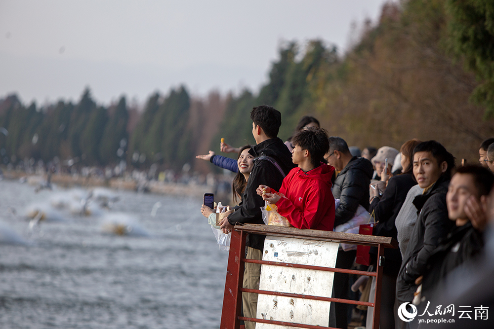 海洪湿地公园游人如织。人民网记者 程浩摄