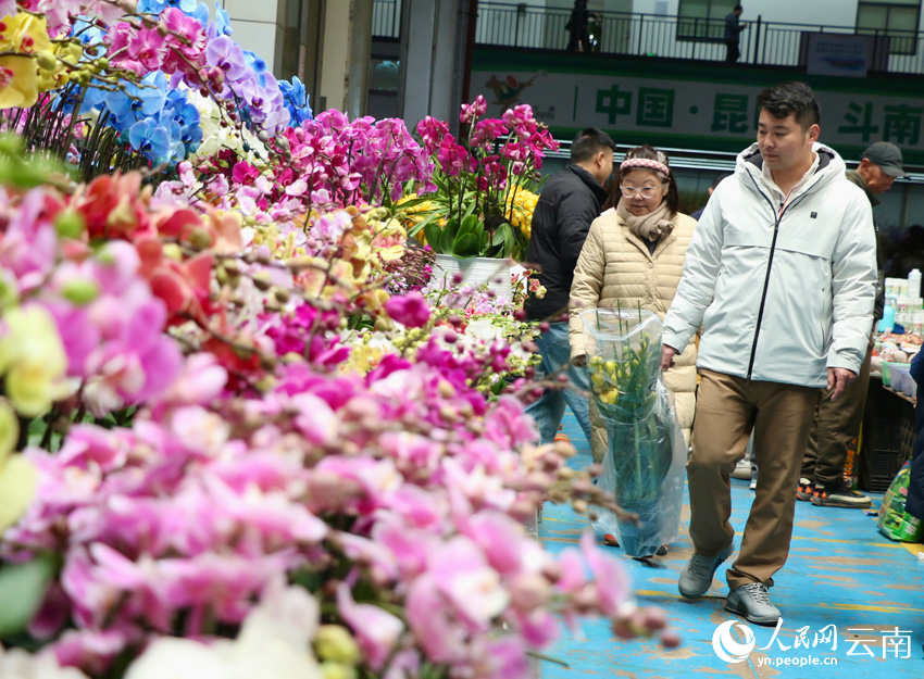 临近新年，昆明斗南花市鲜花俏销。人民网 雷霁摄