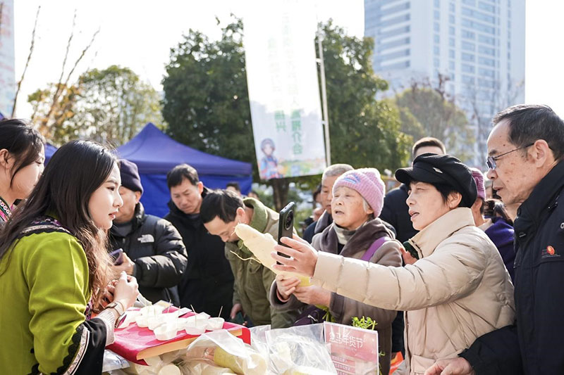 南華蘿卜受到當地市民歡迎。南華縣委宣傳部供圖