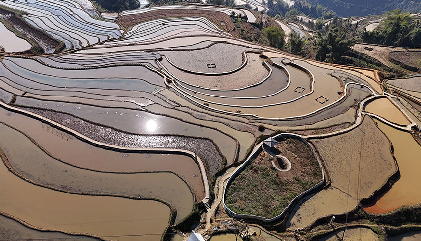 雲南綠春桐珠梯田風景如畫。李建東攝