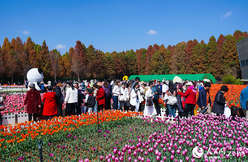 游客在撈魚河濕地公園觀賞郁金香。人民網記者 李發興攝