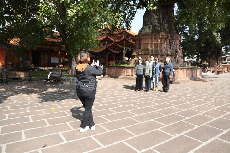 游客在“塔包树·树包塔”前合影留念。周洁摄.JPG