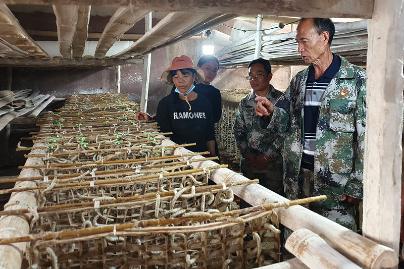 党员干部带头在生产车间指导界牌组蚕桑产业发展。李执摄