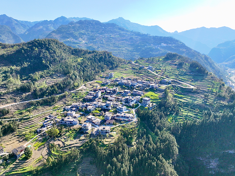 茶山全景
