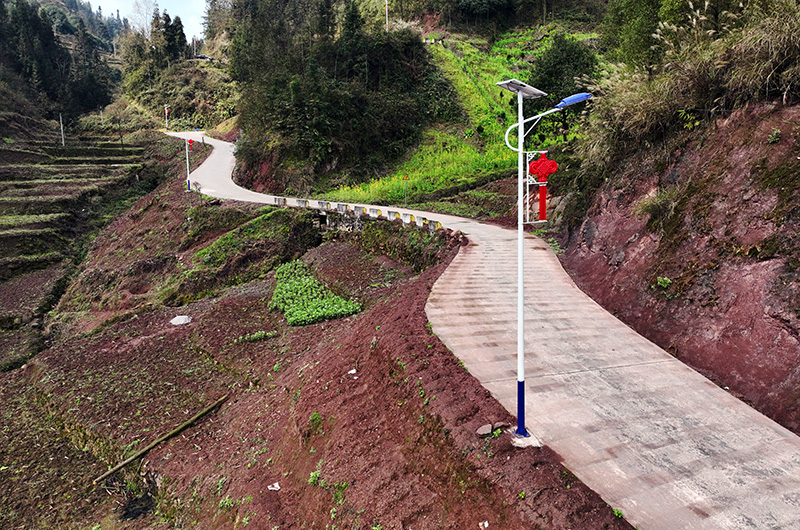 村组道路旁的路灯。
