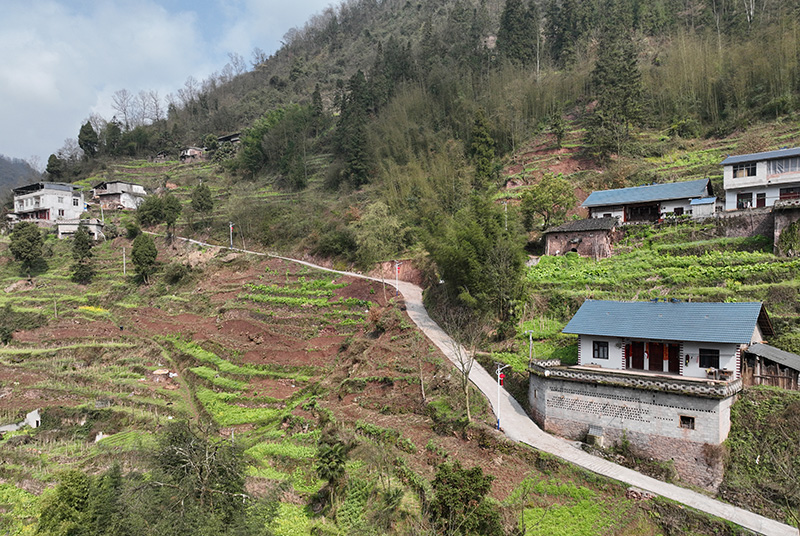 村民集资修建的村组道路。