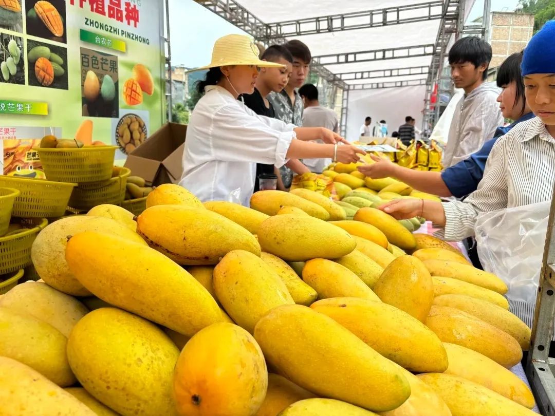 芒果上市。
