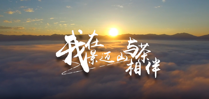 微視頻 | 我在景邁山與茶相伴