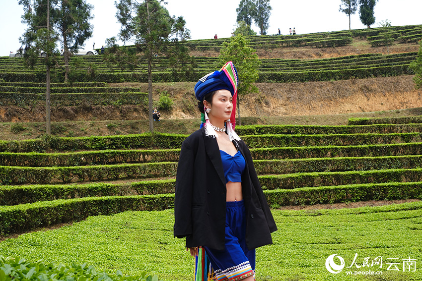 茶山走秀。人民网 曾智慧摄