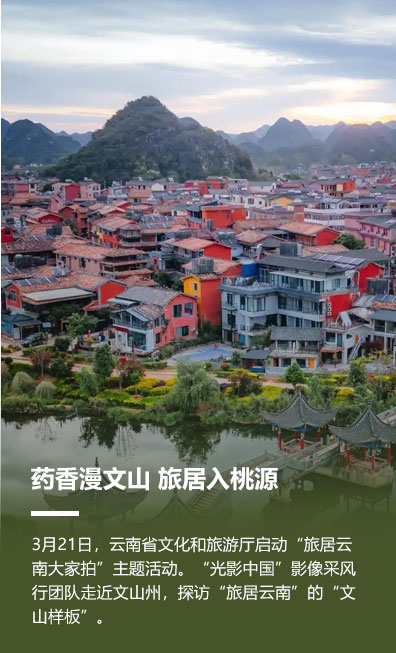藥香漫文山 旅居入桃源