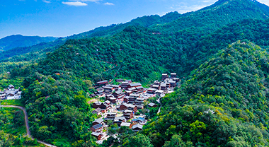 乡愁为墨 绘旅居云南新画卷