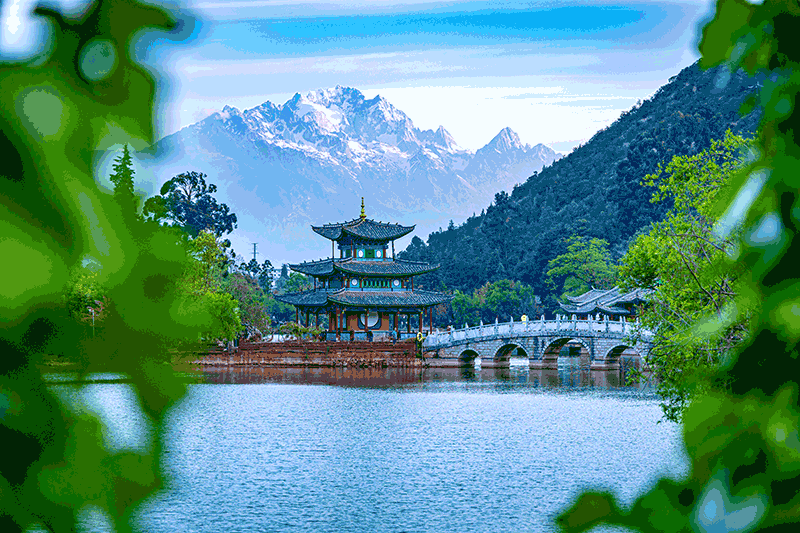 春游丽江，风景这边独好。
