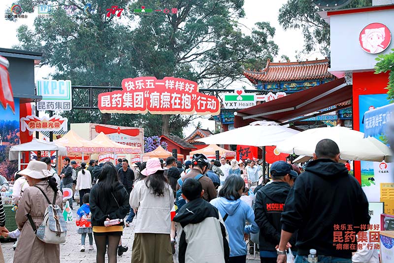 活动现场。昆药集团供图