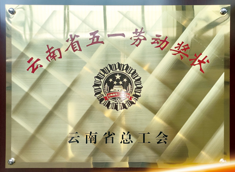 会泽卷烟厂荣获2024年度“云南省五一劳动奖状”。会泽卷烟厂群团工作科供图
