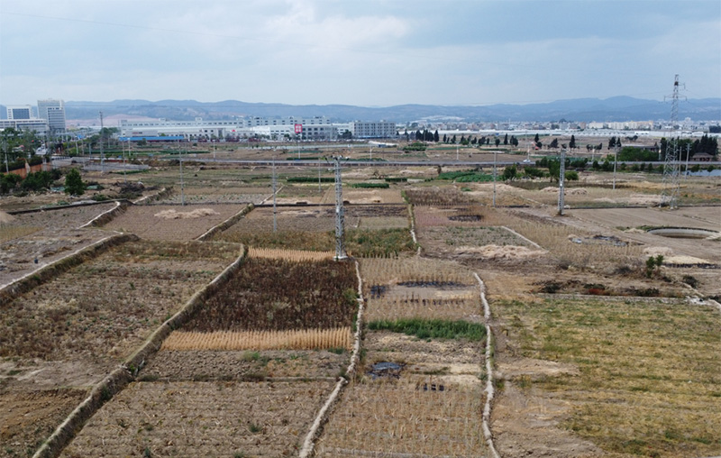 三街片区农田改造前现场图。潘自辉摄