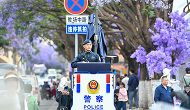 云南昆明这条路核心赏花区刑事警情零接报