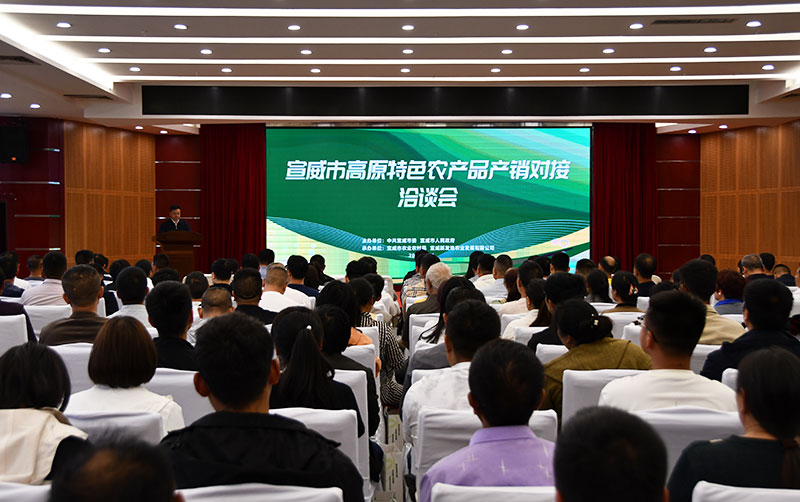 洽谈会现场。宣威市委宣传部供图