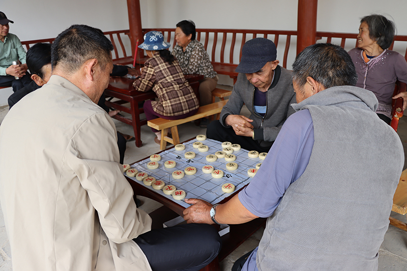 老人们在“幸福小院”下棋。马素萍摄