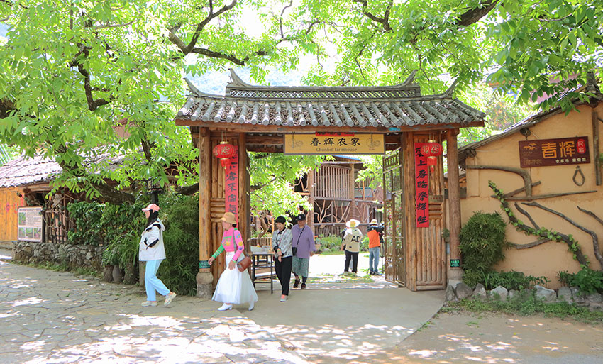 漾濞縣蒼山西鎮(zhèn)光明村核桃林下農(nóng)家樂吸引游客觀光休閑。沈菲攝