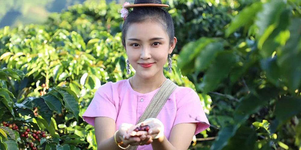 普文鎮，雲南景洪的咖啡寶藏小鎮