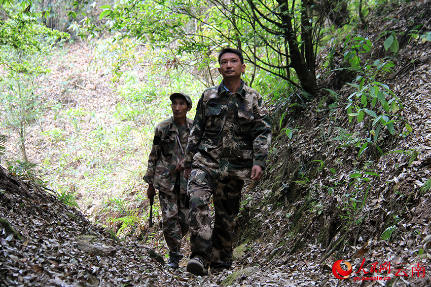 【图三】王全文和父亲王德有在山里巡逻。人民网记者-程浩摄