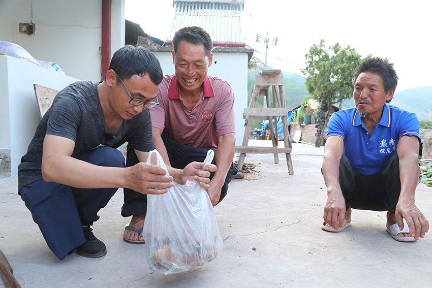 李红富上门收购农产品。杨廷荣摄