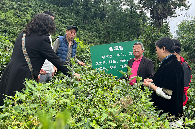 专家组现场评议