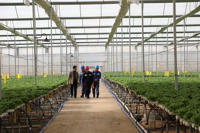 陸良供電局工作人員走訪用戶，了解用電需求。阮鬆萍攝