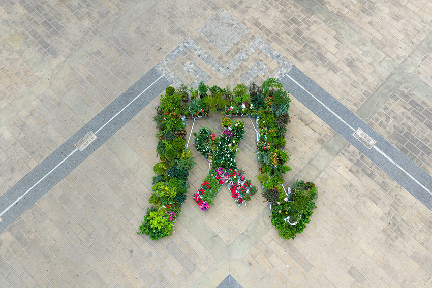 群眾自發搬出自家鮮花綠植拼湊出巨型“風”字，寓意大理四絕之一和“文明新風”。大力周圍宣傳部供圖