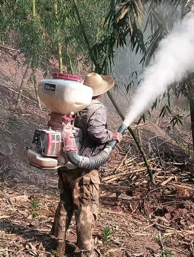 防治队员背着喷粉机喷洒药物。何顺摄