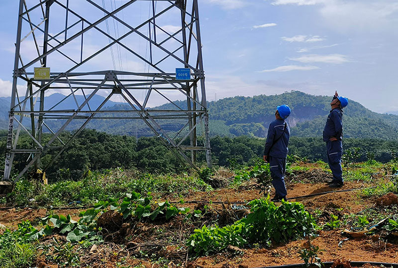 电力工作人员正在巡线。