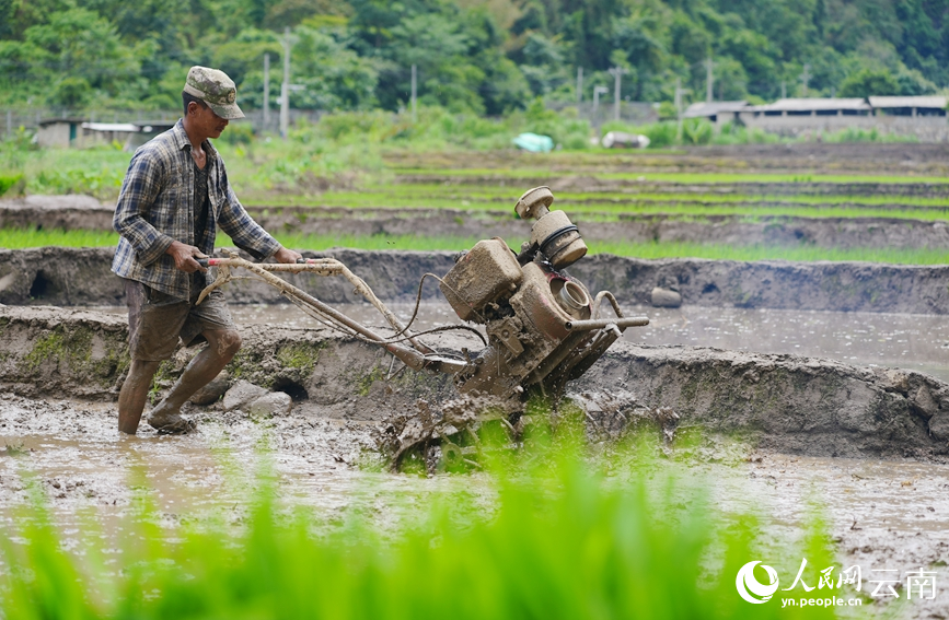 村民正在耕地。艾嘎摄