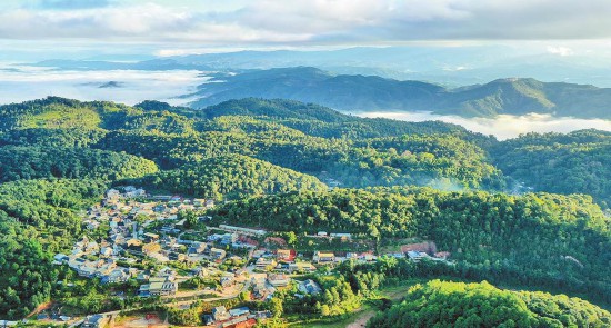 碳足跡核算助力景邁山保護