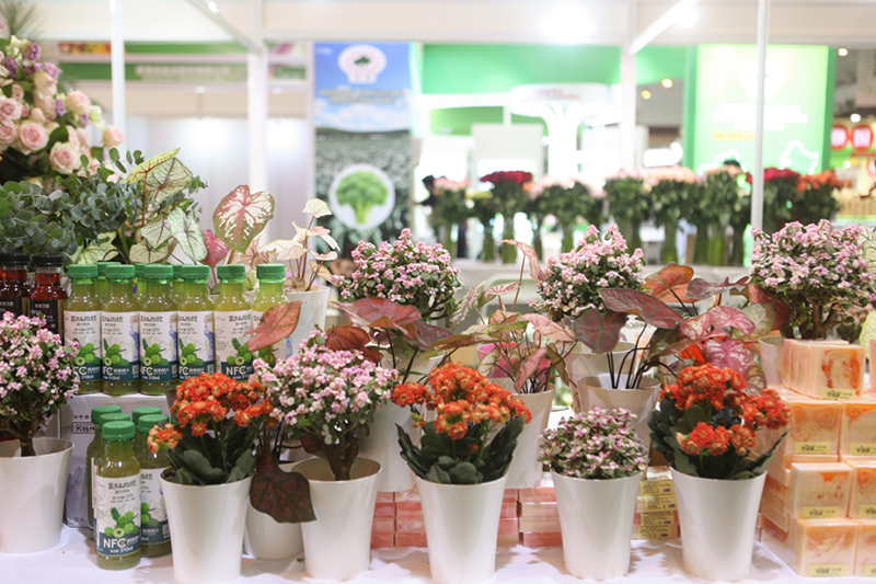 “绿色楚雄·百花绘梦”。