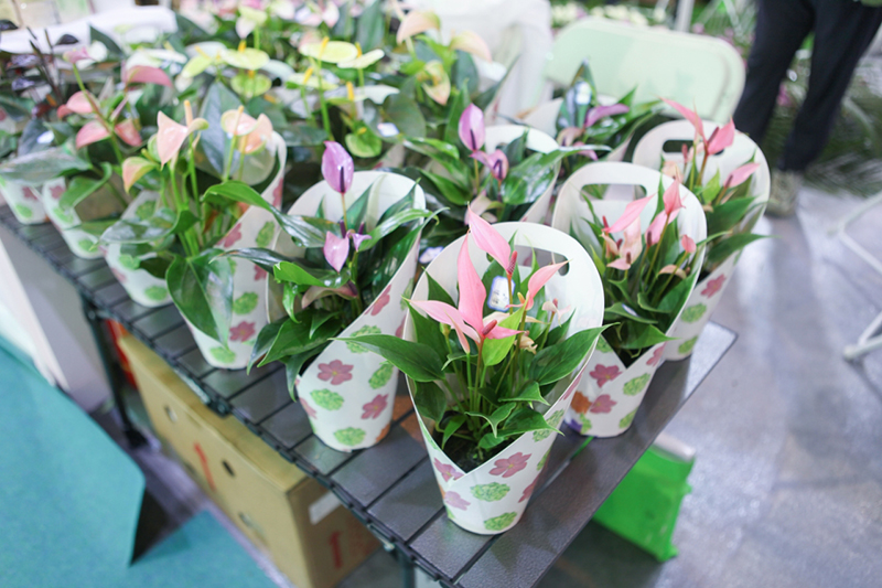 “绿色楚雄·百花绘梦”。