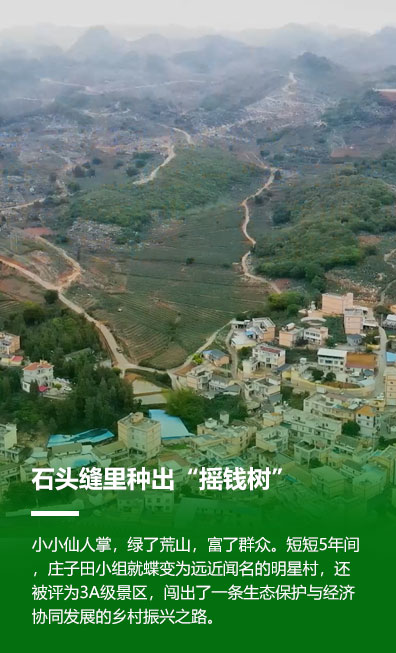 石头缝里种出“摇钱树”