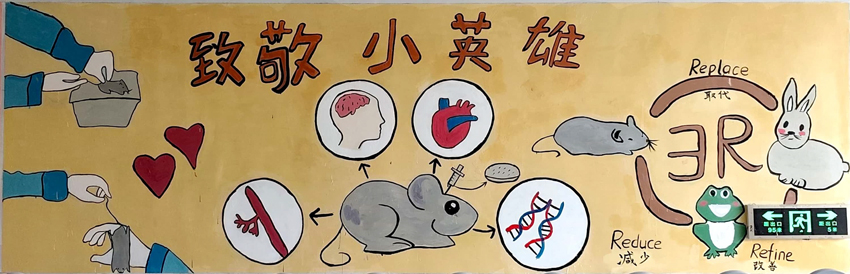 昆明医科大学下穿隧道墙绘作品。昆明医科大学供图