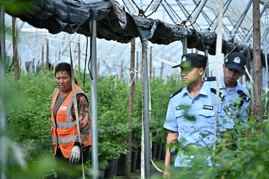 民警到田间地头走访了解情况。