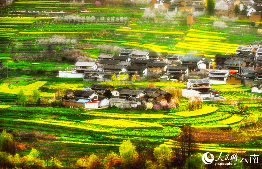 大理沙溪古镇乡村美景。杨继培摄